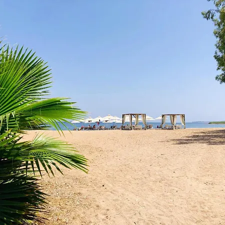 Urszula's - By The Sea